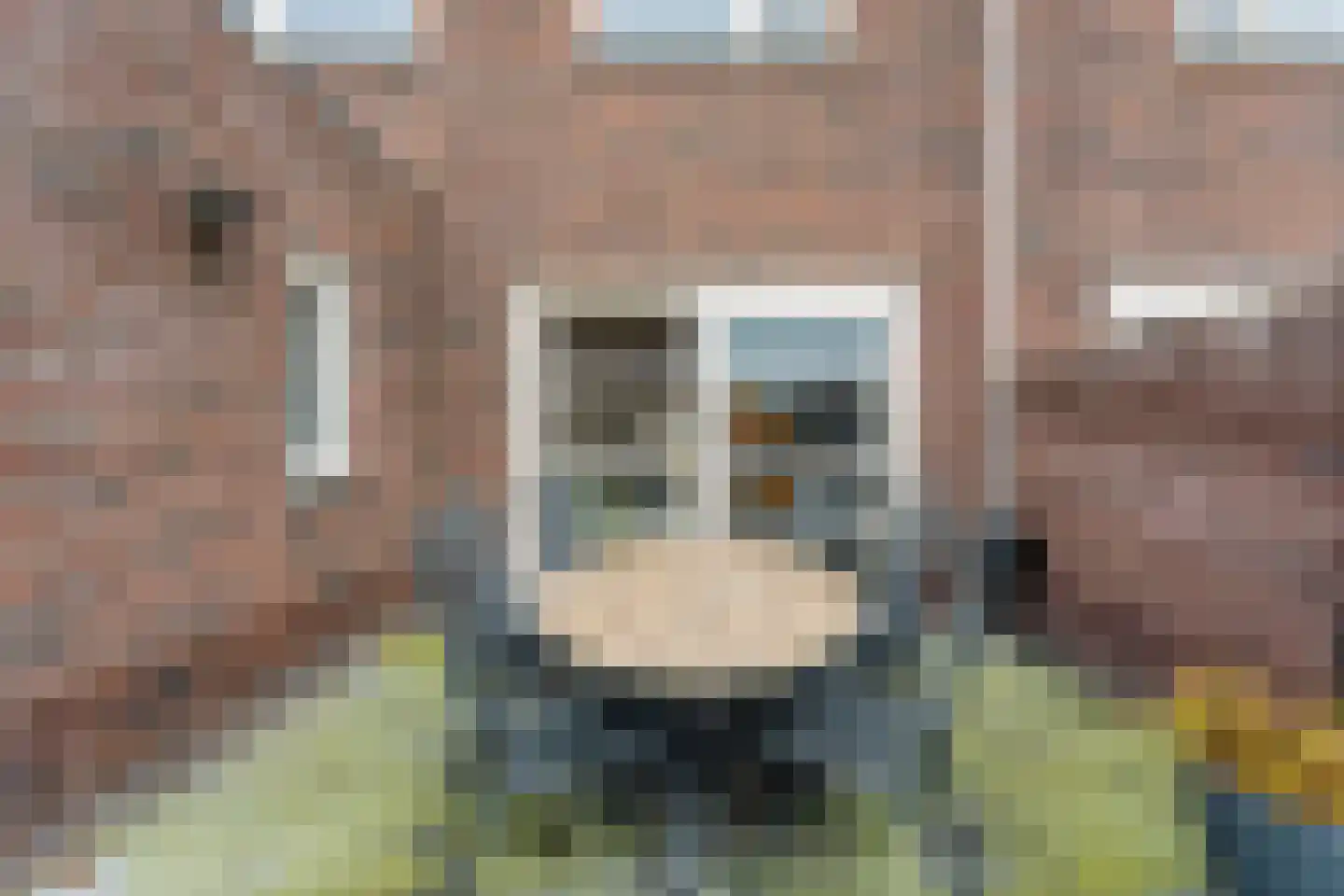 Lavendel 59 Hardenberg thumbnail 47