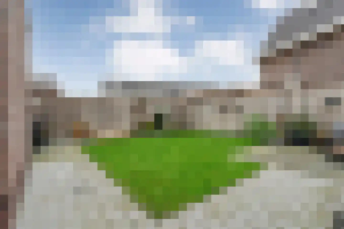 Lavendel 59 Hardenberg thumbnail 53