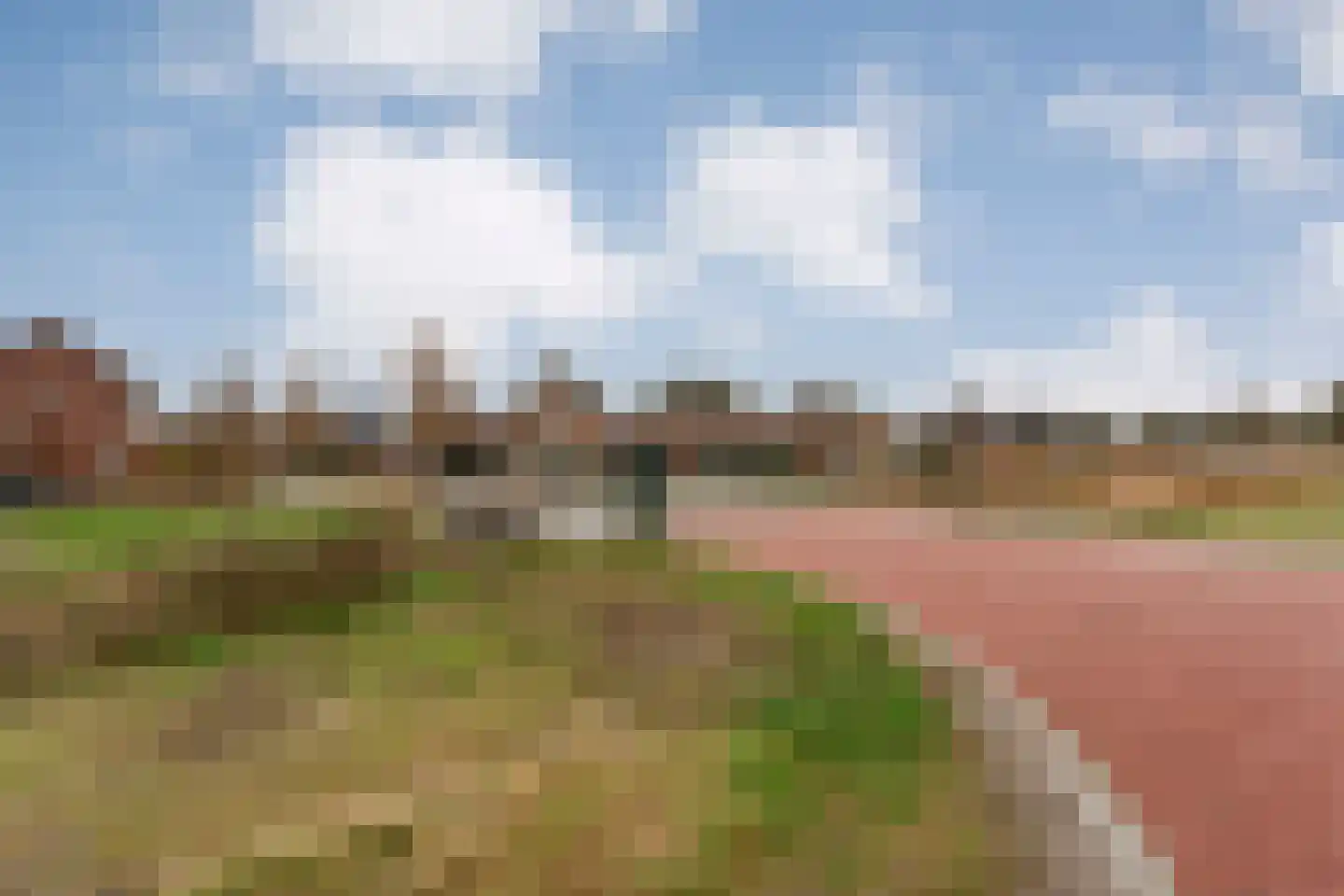 Lavendel 59 Hardenberg thumbnail 58