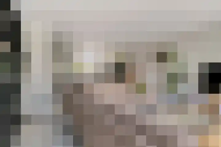 Lavendel 7 Oost West en Middelbeers thumbnail 10