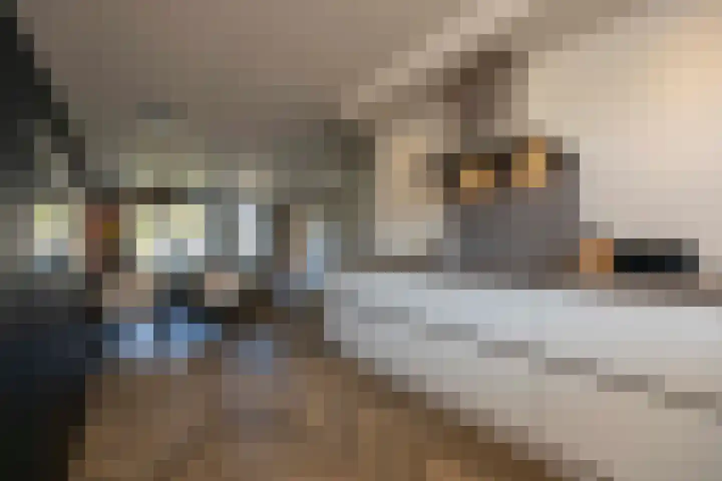 Lavendel 7 Oost West en Middelbeers thumbnail 16