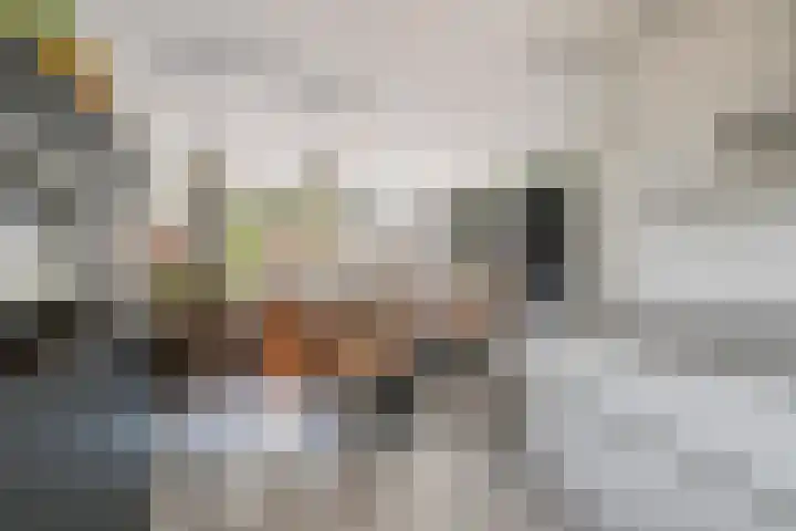 Lavendel 7 Oost West en Middelbeers thumbnail 17