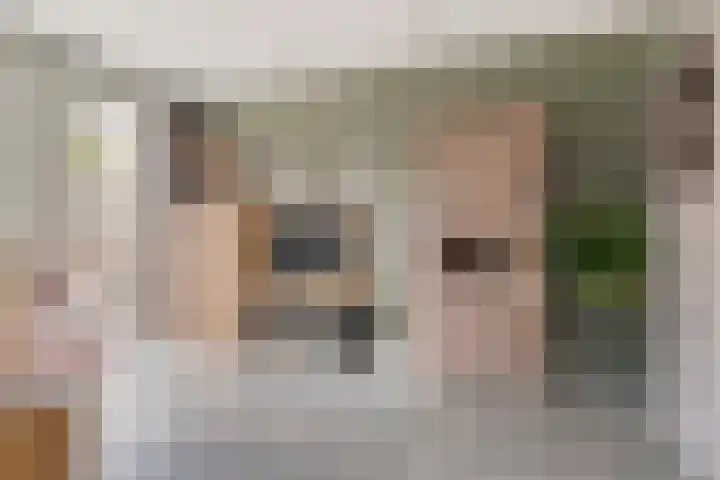 Lavendel 7 Oost West en Middelbeers thumbnail 18