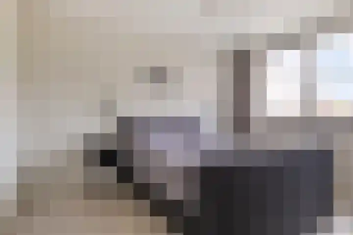 Lavendel 7 Oost West en Middelbeers thumbnail 22