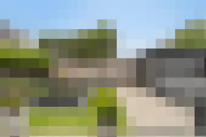 Lavendel 7 Oost West en Middelbeers thumbnail 33