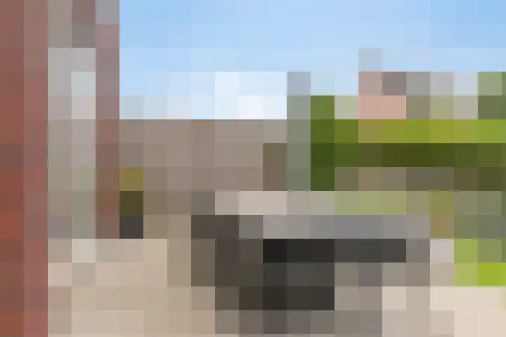 Lavendel 7 Oost West en Middelbeers thumbnail 35