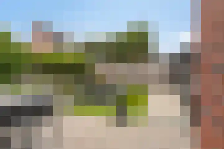 Lavendel 7 Oost West en Middelbeers thumbnail 36