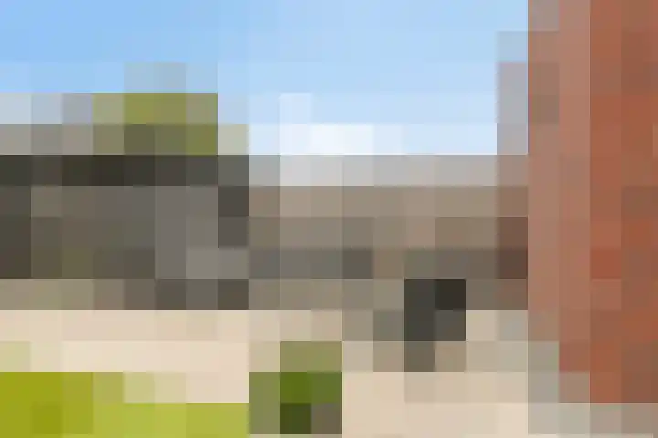 Lavendel 7 Oost West en Middelbeers thumbnail 37