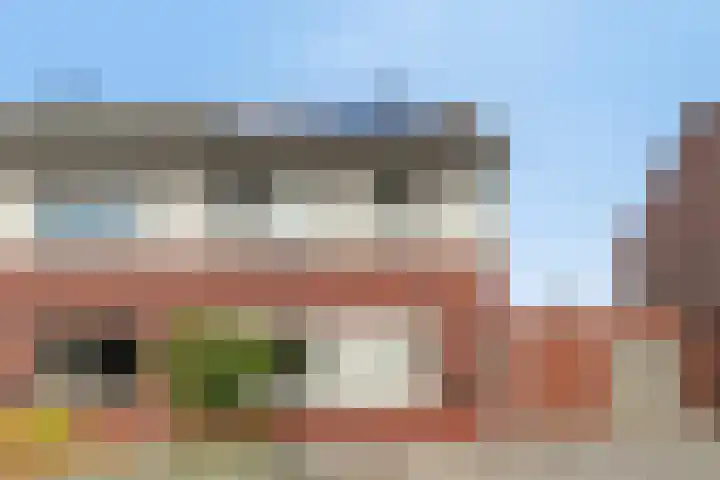 Lavendel 7 Oost West en Middelbeers thumbnail 38