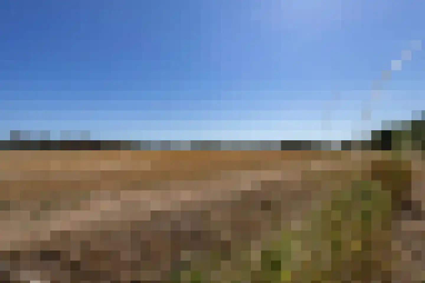 Lavendel 7 Oost West en Middelbeers thumbnail 43