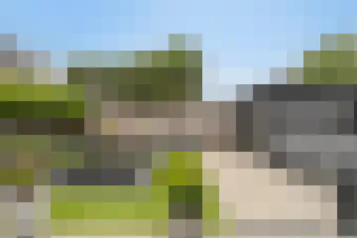Lavendel 7 Oost West en Middelbeers thumbnail 5