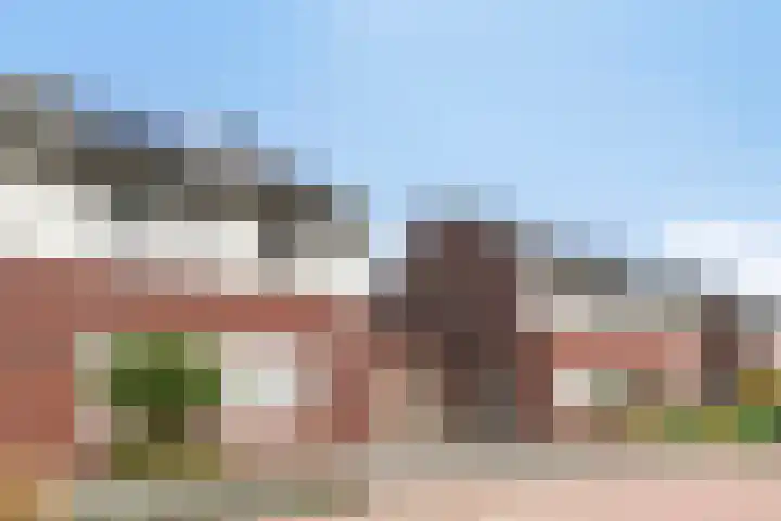 Lavendel 7 Oost West en Middelbeers thumbnail 6