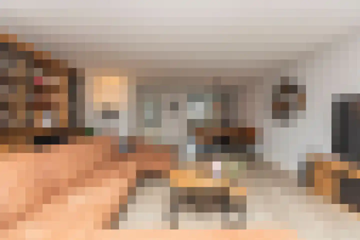 Lavendel 8 Alblasserdam thumbnail 16