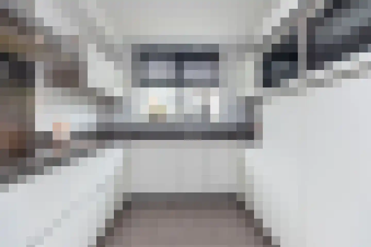 Lavendel 8 Alblasserdam thumbnail 18
