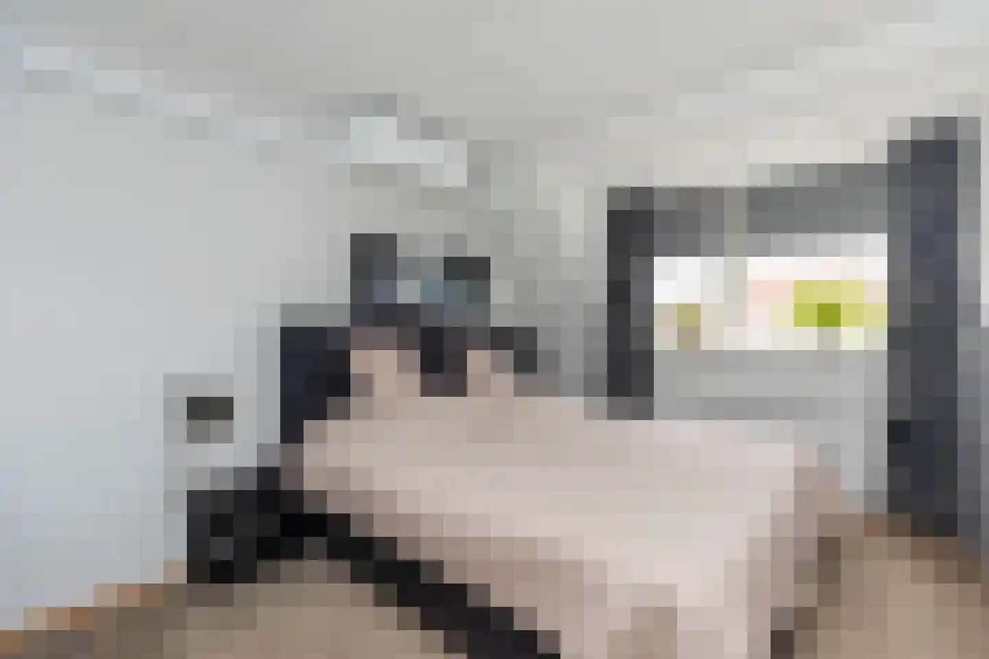 Lavendel 8 Alblasserdam thumbnail 27