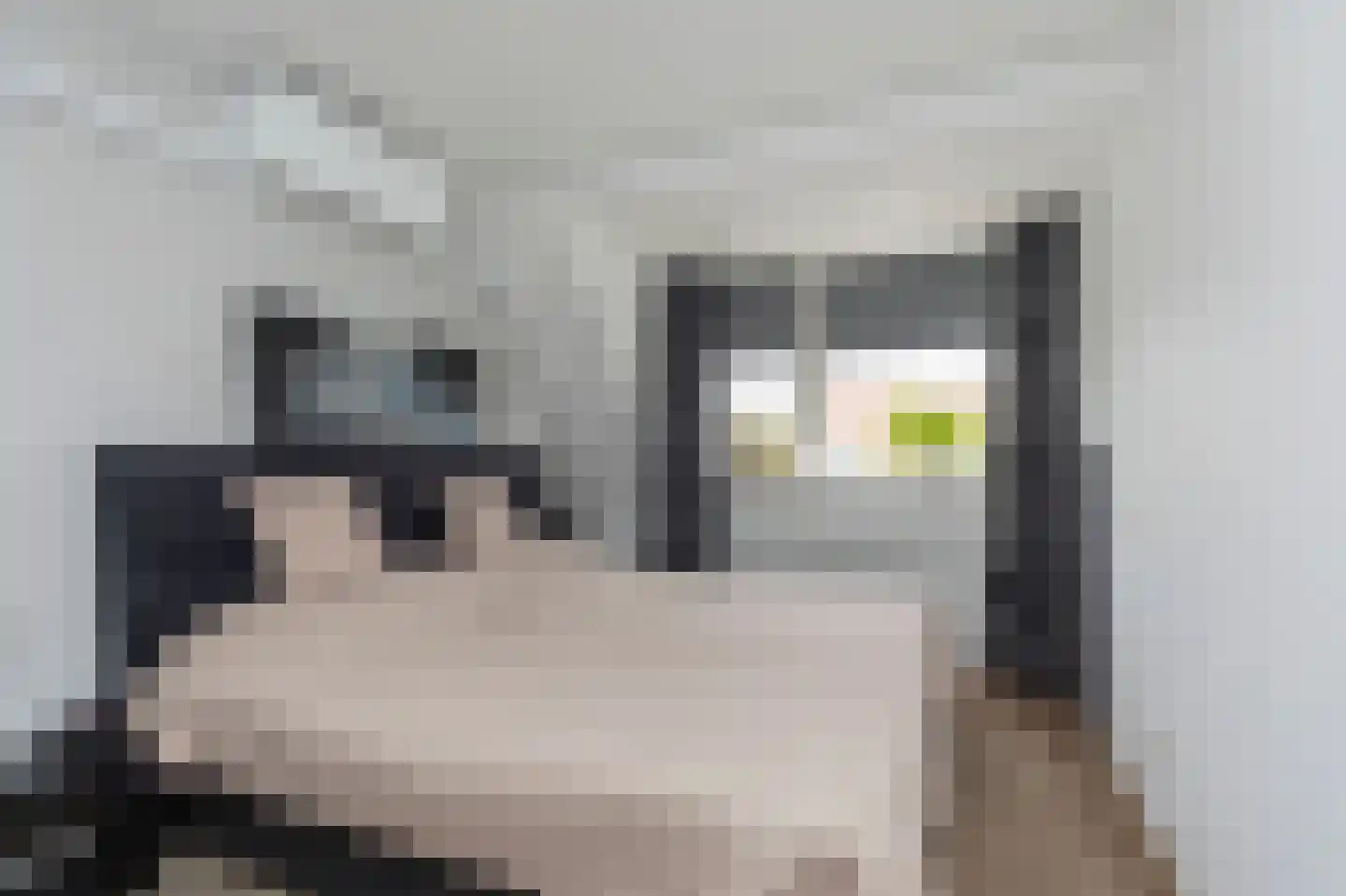 Lavendel 8 Alblasserdam thumbnail 28