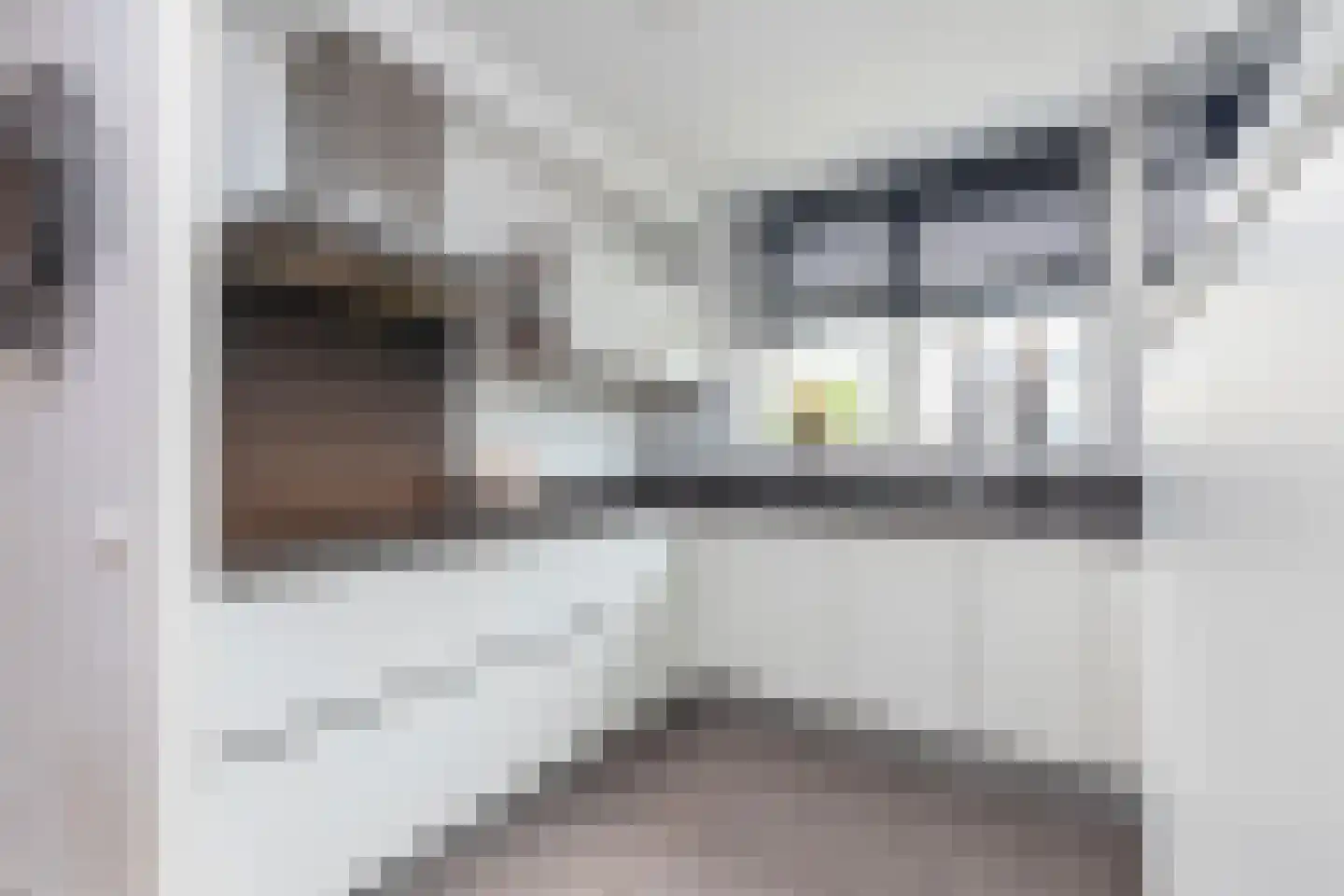 Lavendel 8 Alblasserdam thumbnail 4