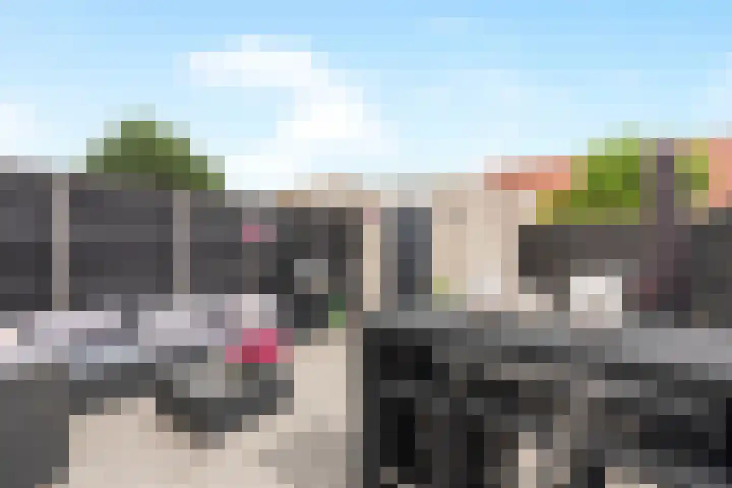 Lavendel 8 Alblasserdam thumbnail 41