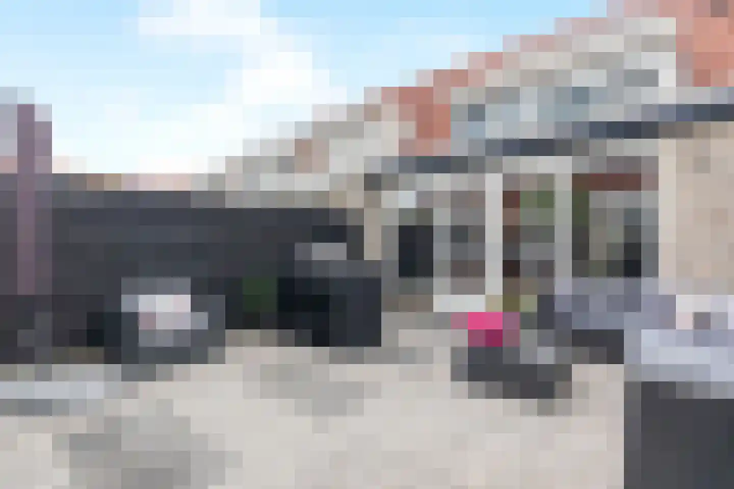 Lavendel 8 Alblasserdam thumbnail 5