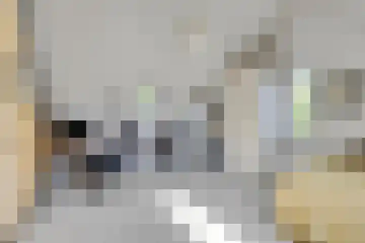 Lavendel-oord 1 Houten thumbnail 23