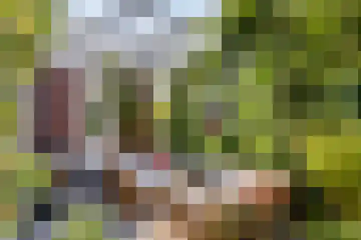 Lavendel-oord 1 Houten thumbnail 30