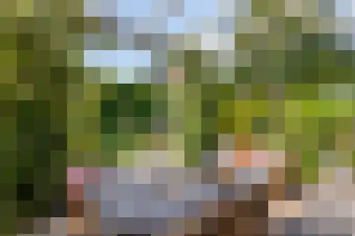 Lavendel-oord 1 Houten thumbnail 31