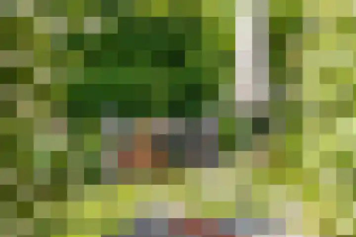 Lavendel-oord 1 Houten thumbnail 34
