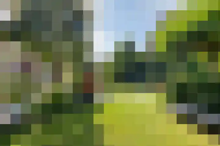 Lavendel-oord 1 Houten thumbnail 36