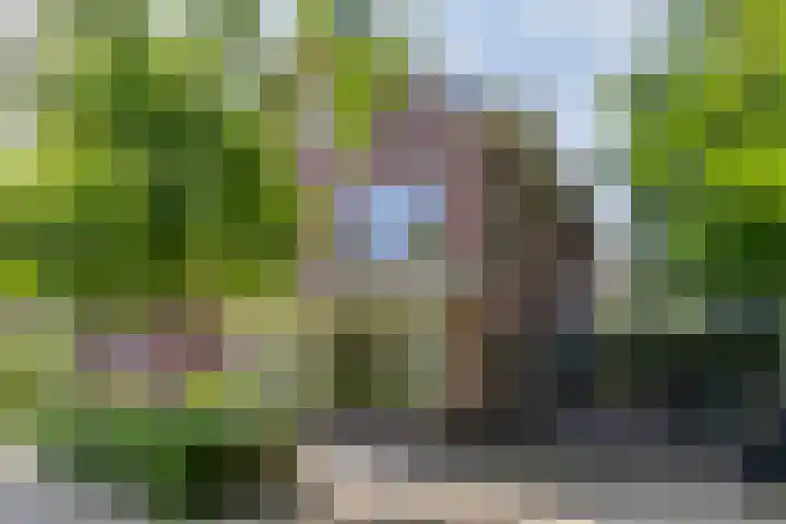Lavendel-oord 1 Houten thumbnail 39
