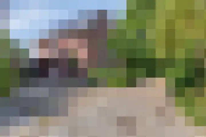 Lavendel-oord 1 Houten thumbnail 40