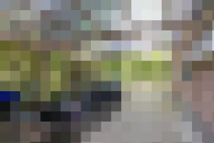 Lavendel-oord 1 Houten thumbnail 41