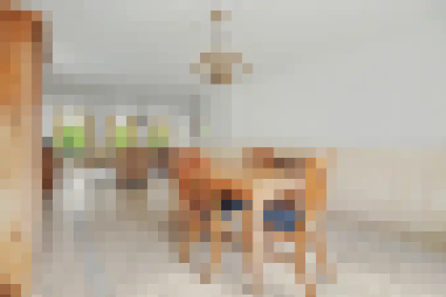 Lavendeldijk 17 Oostdijk thumbnail 12