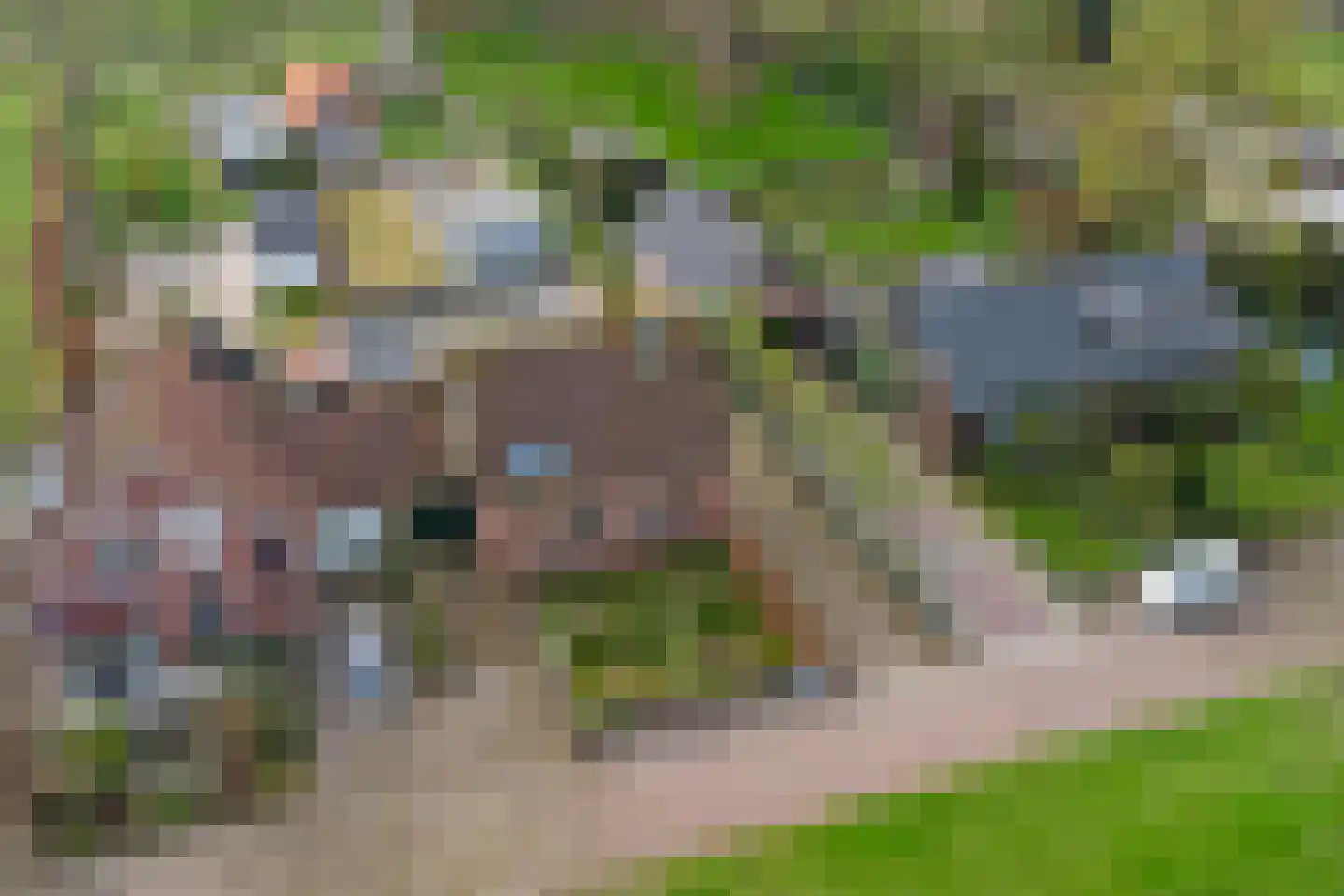 Lavendeldijk 17 Oostdijk thumbnail 43