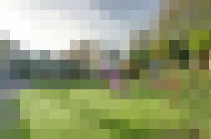 Lavendeldijk 28 Oostdijk thumbnail 35