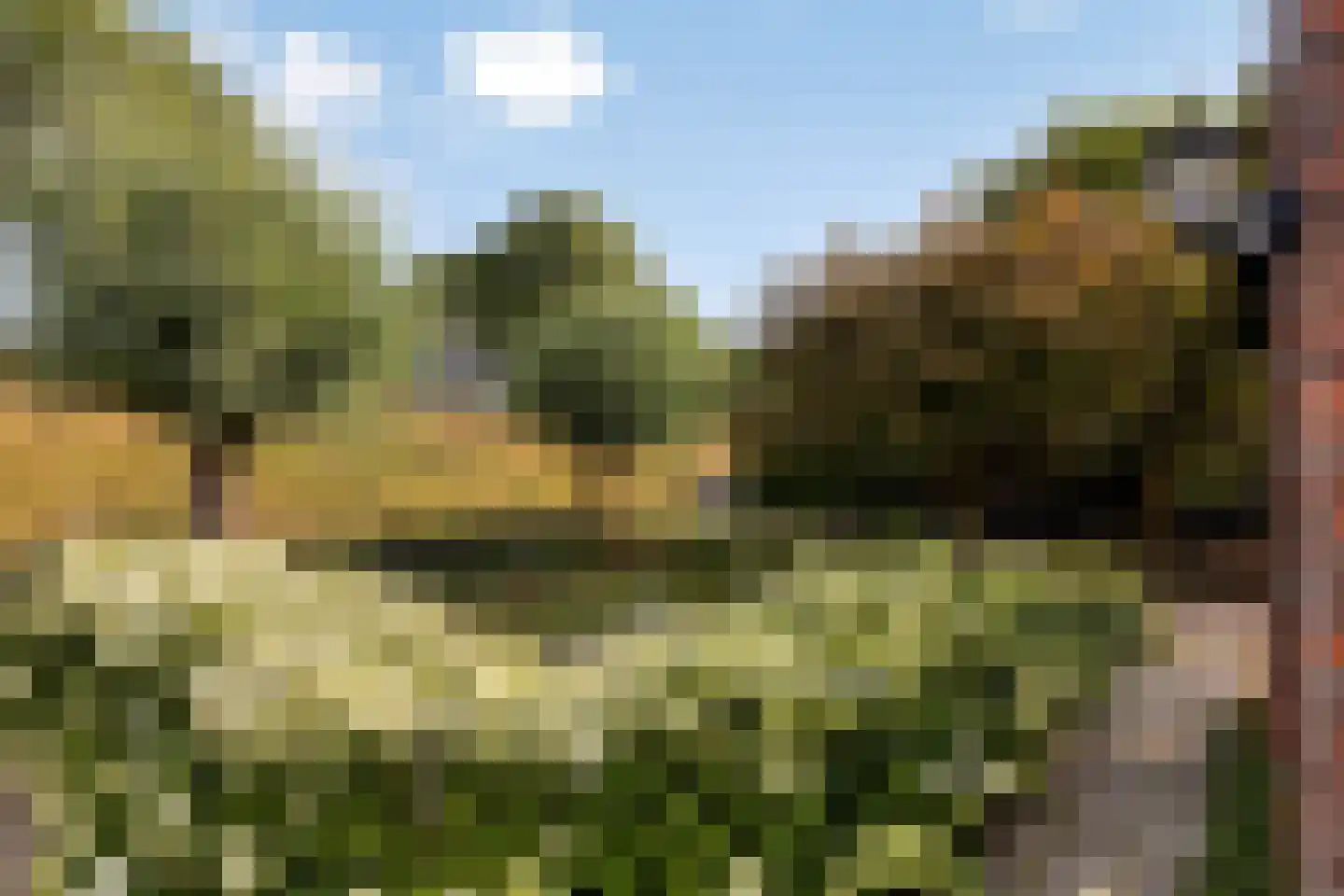 Lavendeldijk 9 Oostdijk thumbnail 35