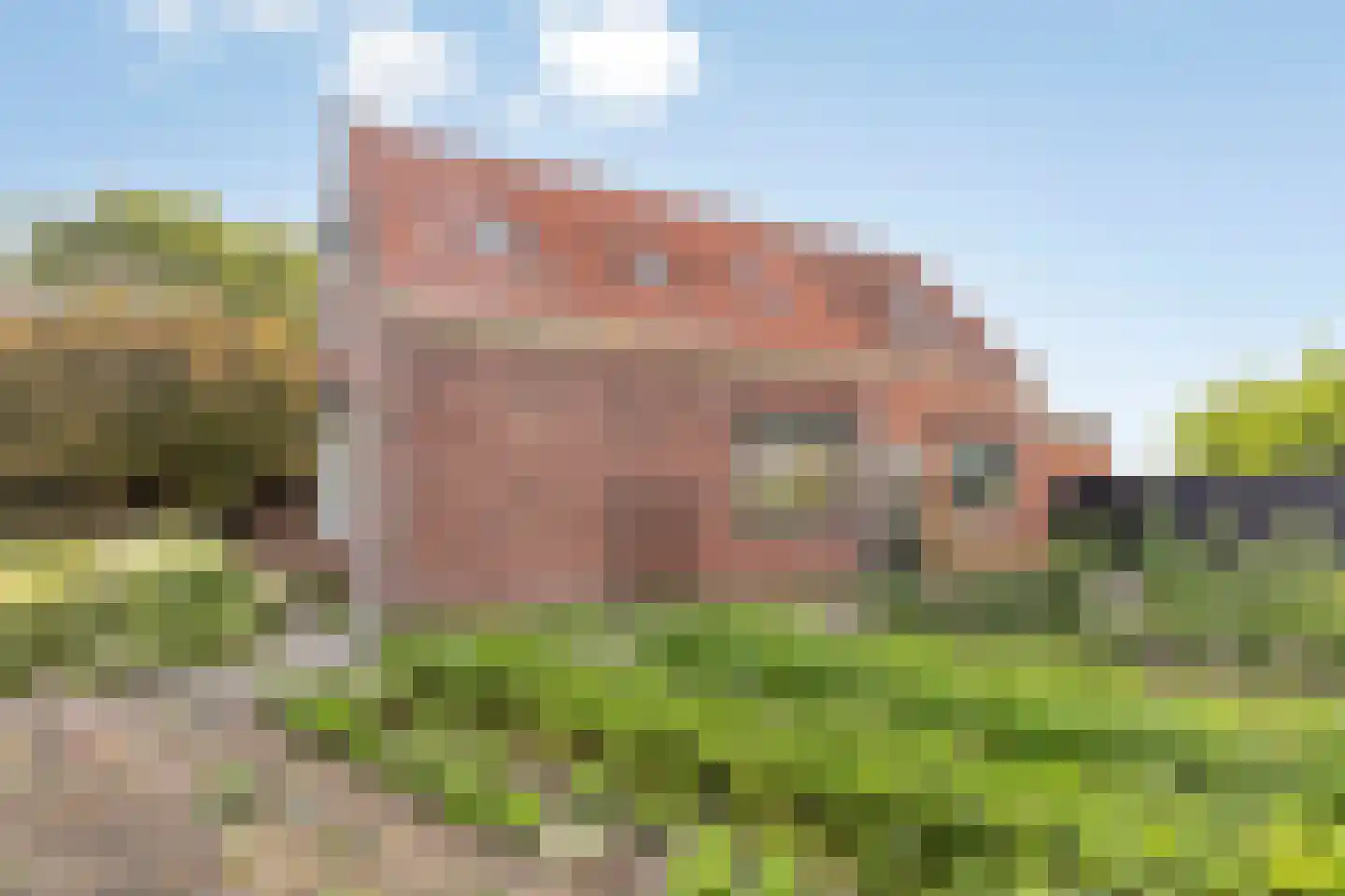 Lavendeldijk 9 Oostdijk thumbnail 38