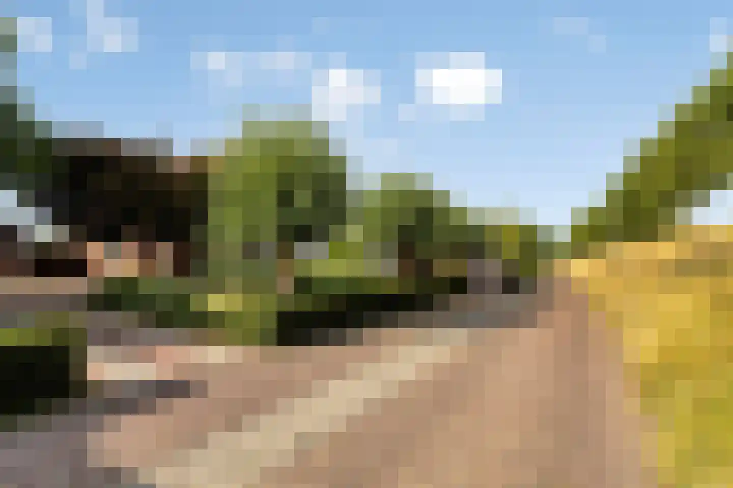 Lavendeldijk 9 Oostdijk thumbnail 42