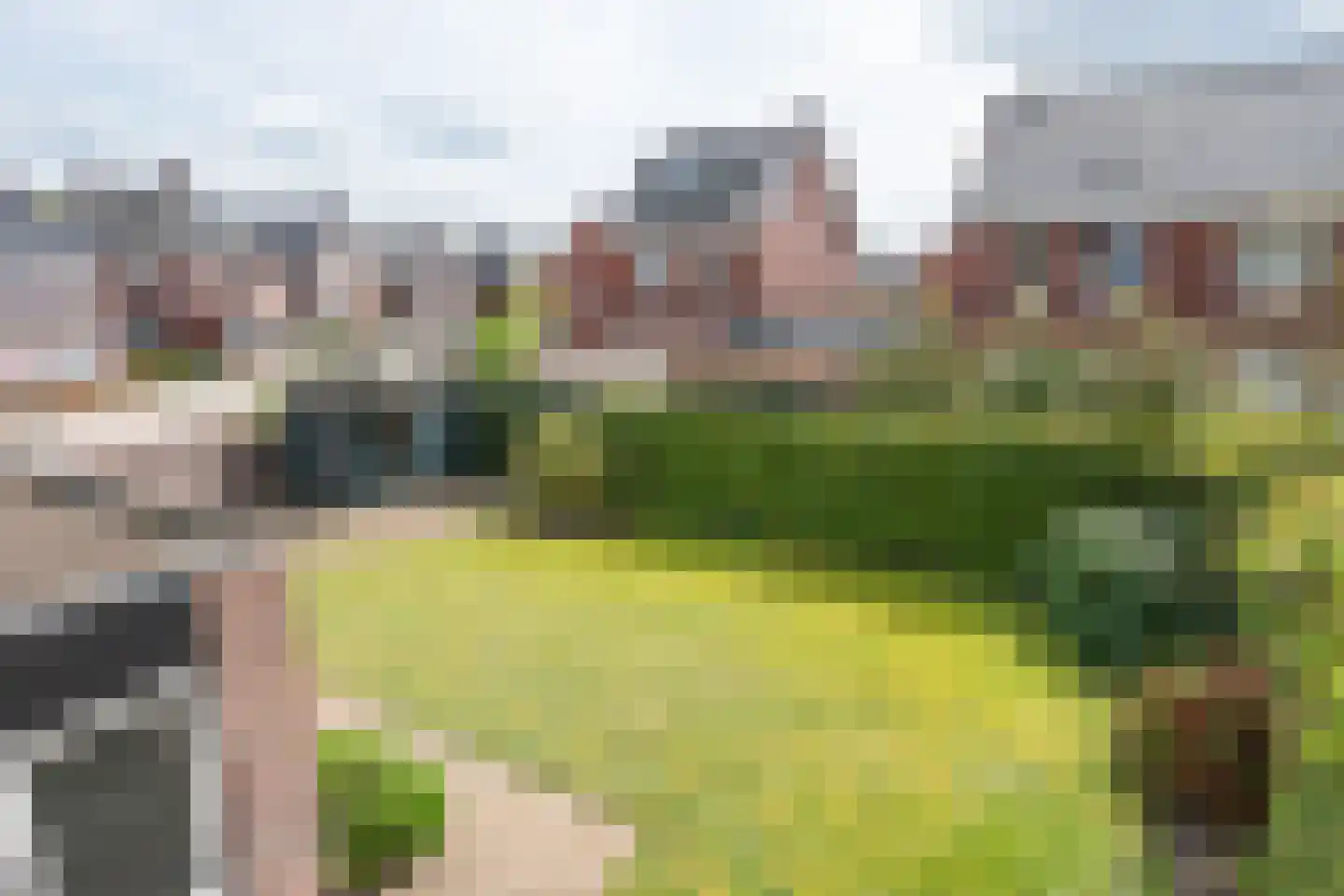 Lavendelheide 1 Helmond thumbnail 13