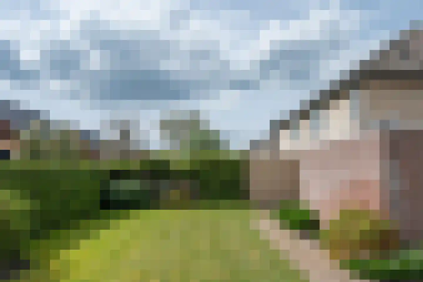 Lavendelheide 1 Helmond thumbnail 14