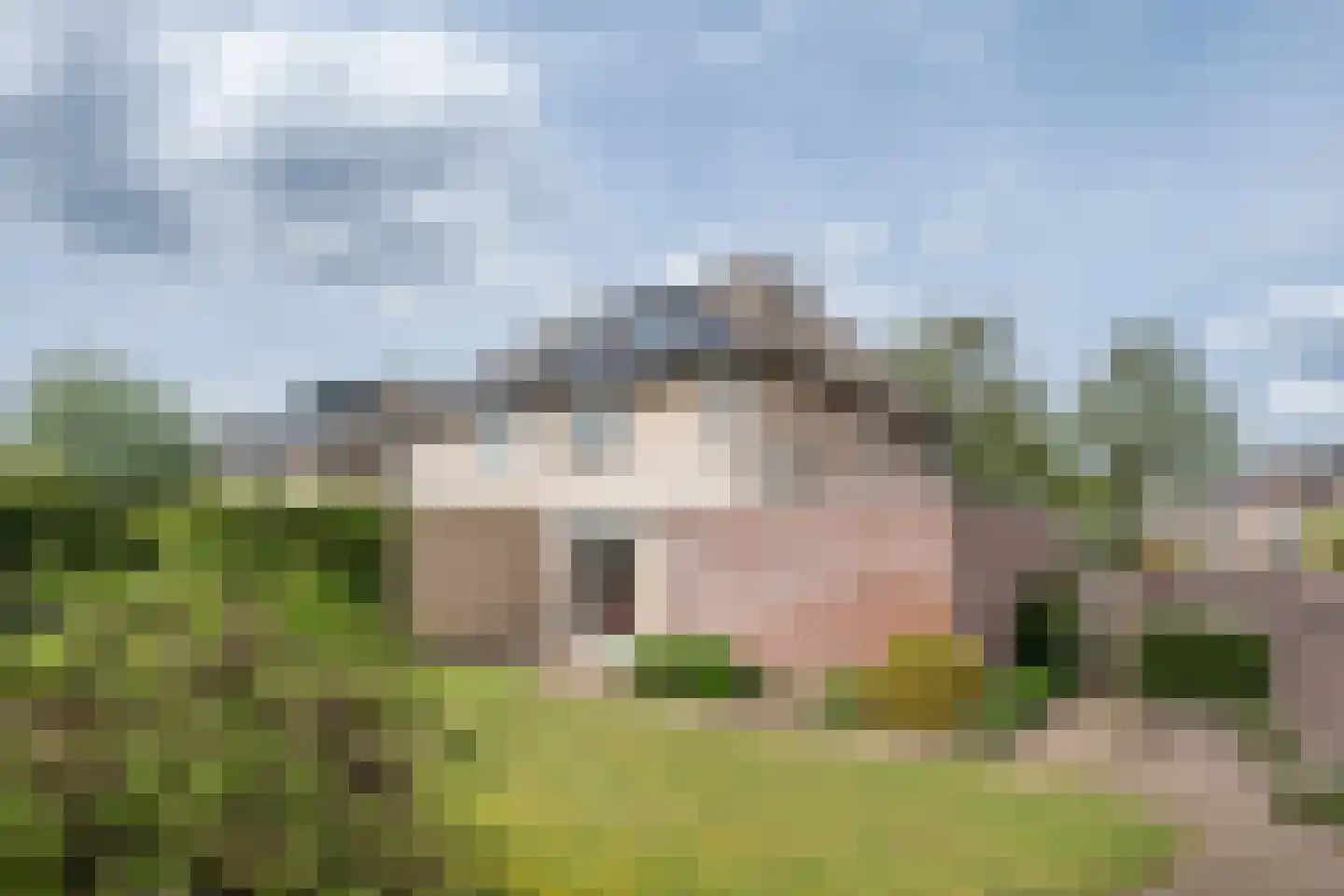 Lavendelheide 1 Helmond thumbnail 15