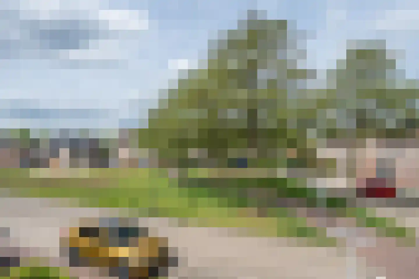 Lavendelheide 1 Helmond thumbnail 20