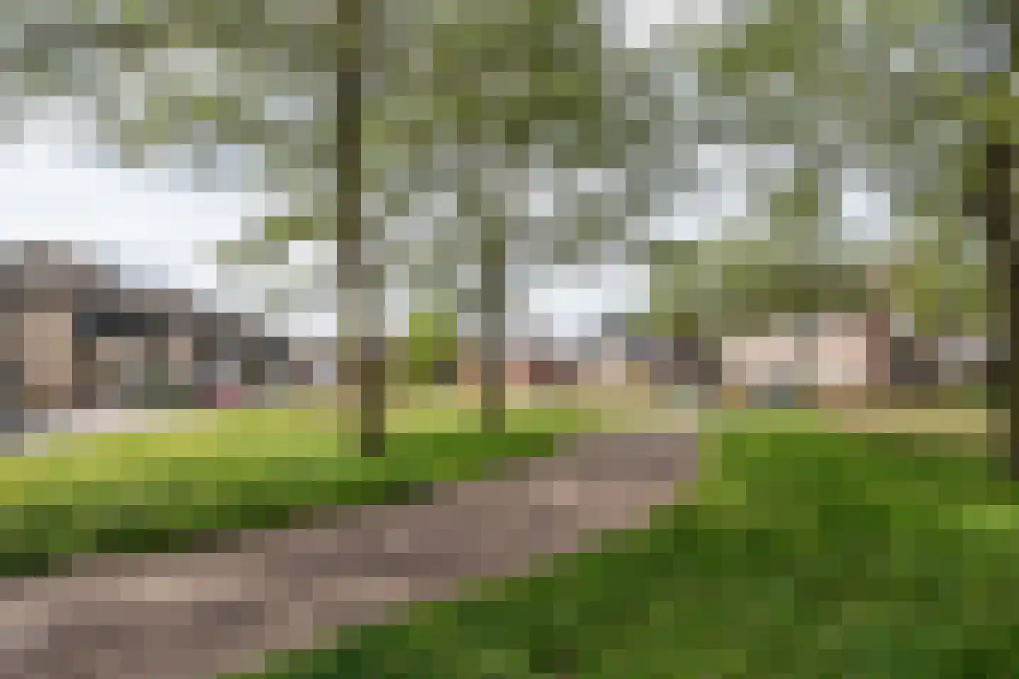Lavendelheide 1 Helmond thumbnail 7