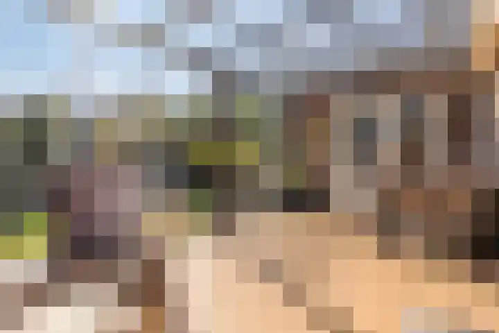 Lavendelheide 10 Grubbenvorst thumbnail 12