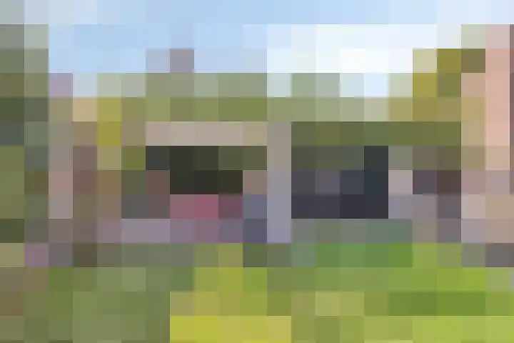 Lavendelheide 10 Grubbenvorst thumbnail 13