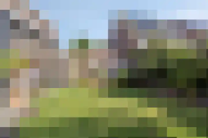 Lavendelheide 10 Grubbenvorst thumbnail 14