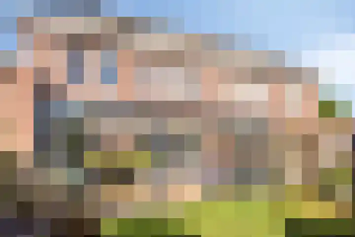 Lavendelheide 10 Grubbenvorst thumbnail 15
