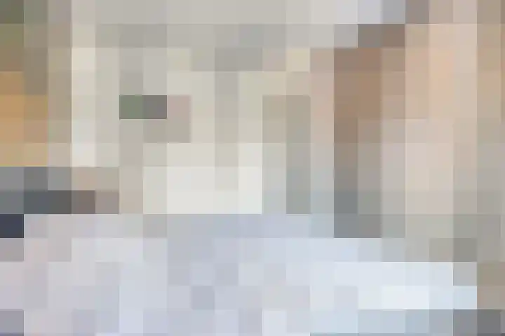 Lavendelheide 10 Grubbenvorst thumbnail 18
