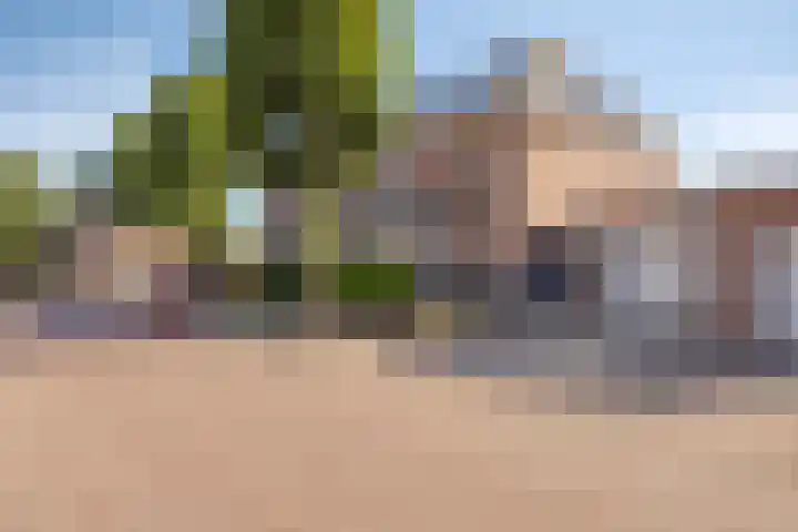 Lavendelheide 10 Grubbenvorst thumbnail 27