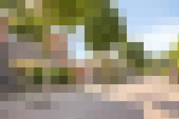 Lavendelheide 10 Grubbenvorst thumbnail 28