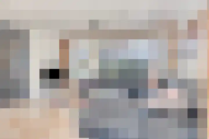 Lavendelheide 10 Grubbenvorst thumbnail 6